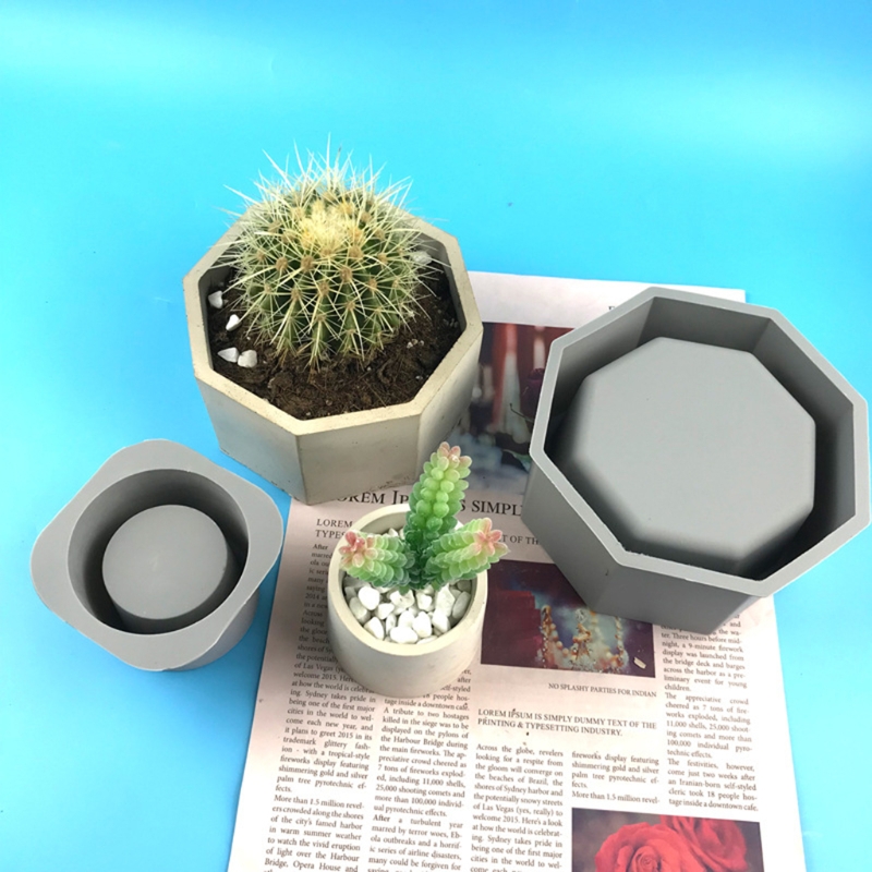 Handgemachte saftige Pflanzer  – Potsticker Mold Bewertung und Preis